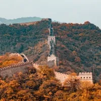 励齿
